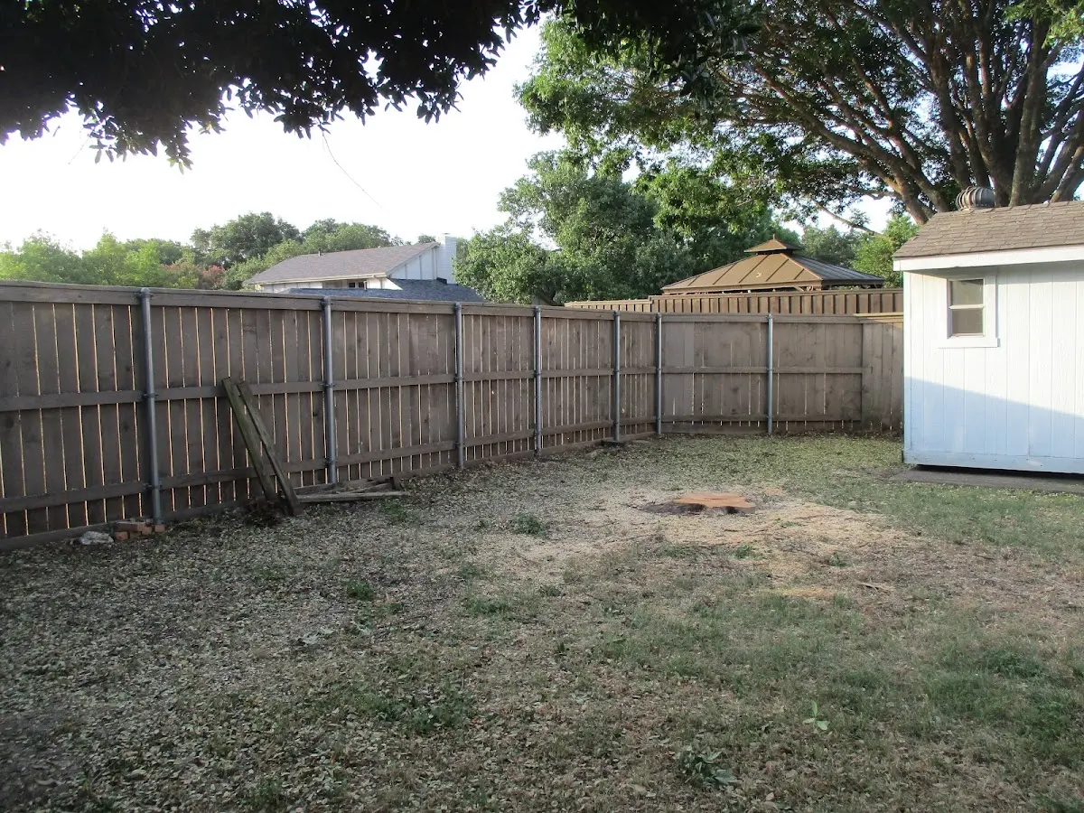 Cleared yard after professional tree removal in Alapaha